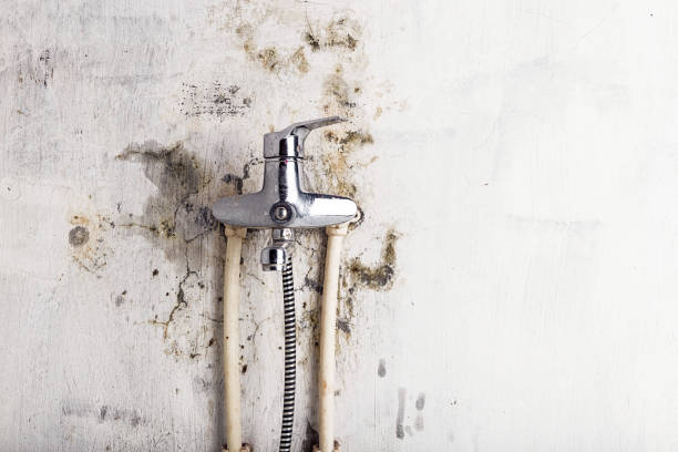 Best Mold Testing  in Troy, AL