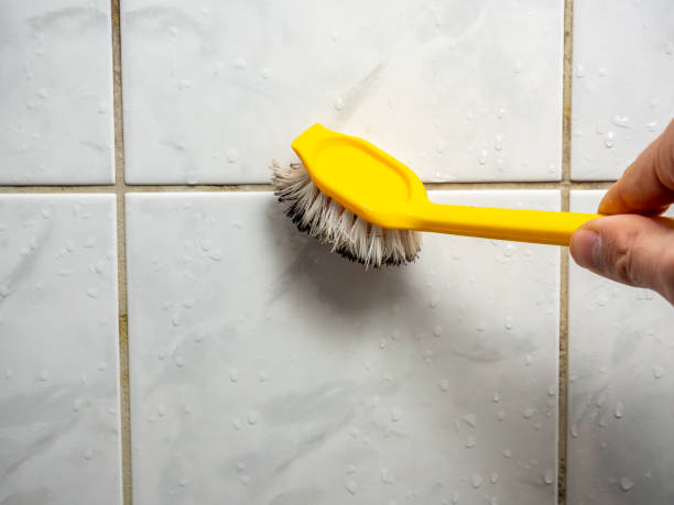 Best Local Mold Removal Service  in Troy, AL