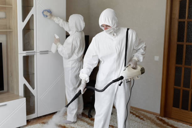 Professional Mold Removal in Troy, AL