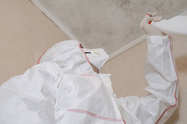 Best Home Mold Removal  in Troy, AL