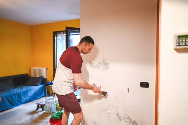 Best Attic Mold Removal  in Troy, AL